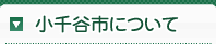 bob娱乐网站 （中略）いろいろな対応をしているとしてもですね、やはりそれが見える形になるというのは必要なことではないかなあというふうに思っております』と述べられたのです